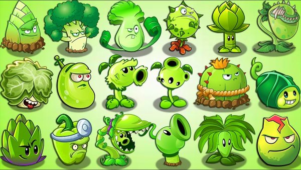 Алоэ pvz2