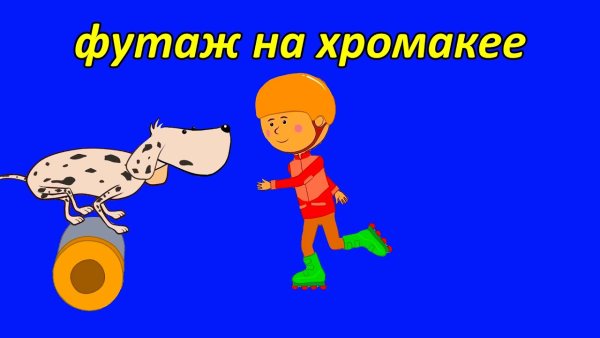 Жила была Царевна гонщица