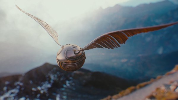Квиддич Гарри Поттер снитч