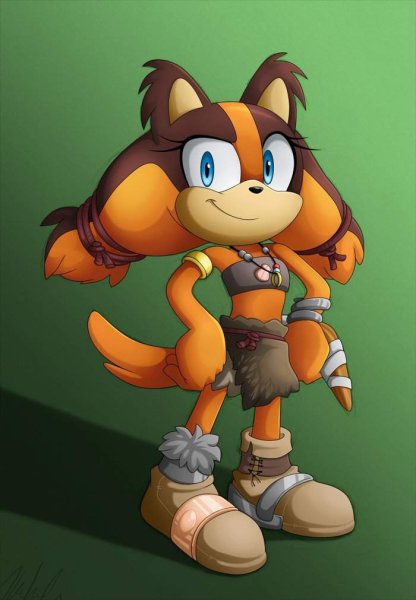 Sonic Boom Стикс