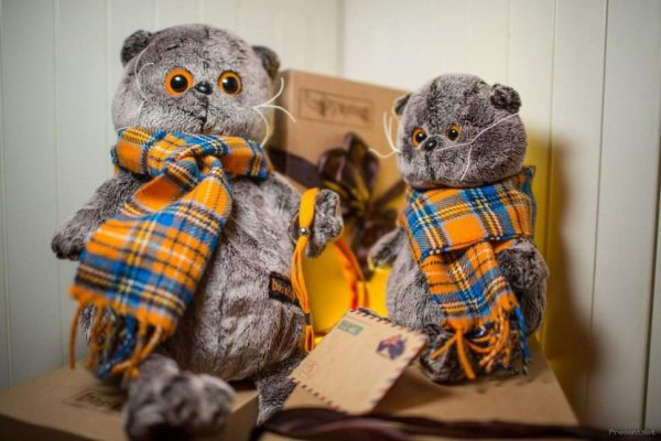 Кот Басик оригинал