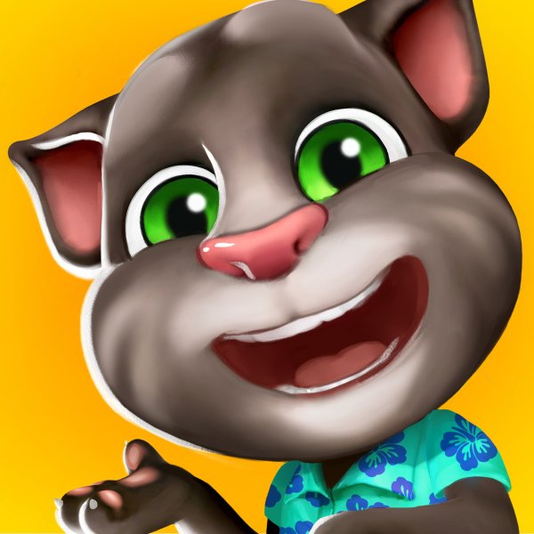 Talking Tom 2013