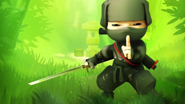 Mini Ninjas Adventures