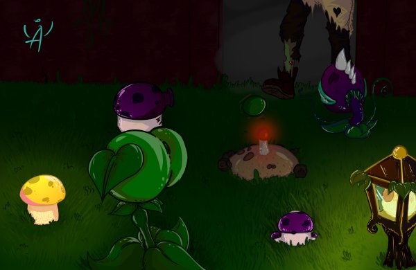 PVZ ночь