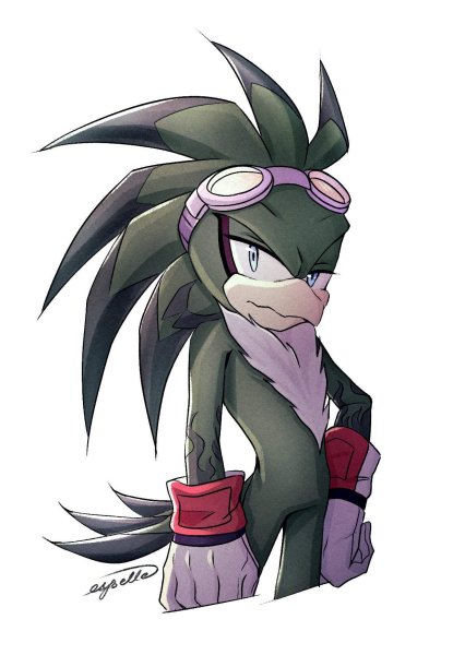 Hawk Sonic