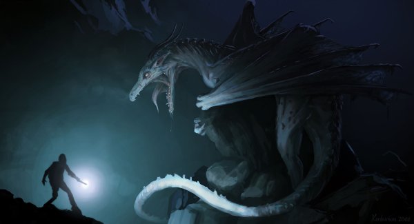 Гарри Поттер и венгерская хвосторога арт