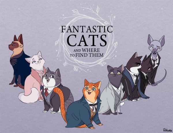Кот Гарри Поттер