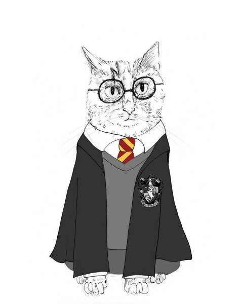Кот Гарри