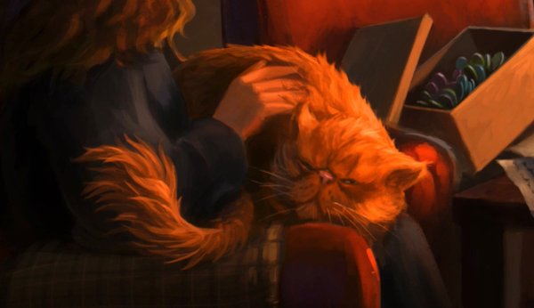 Гарри Поттер кот живоглот