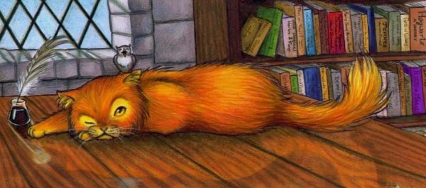 Crookshanks Гарри Поттер