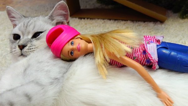 Кукла кот