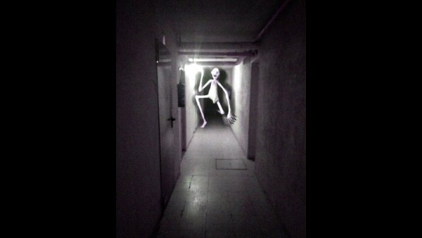 Night walk Тревор Хендерсон