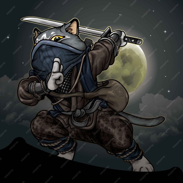 Кот воин ниндзя из компьютерных игр