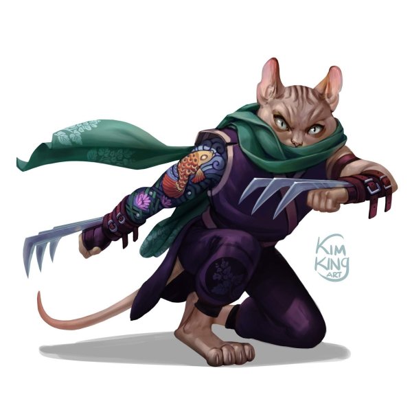 Кошка ниндзя