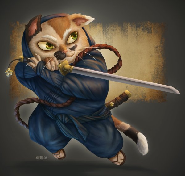 Кошка ниндзя