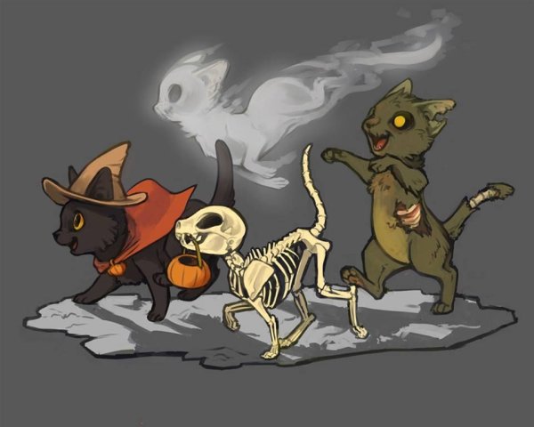 Коты Воители Хэллоуин