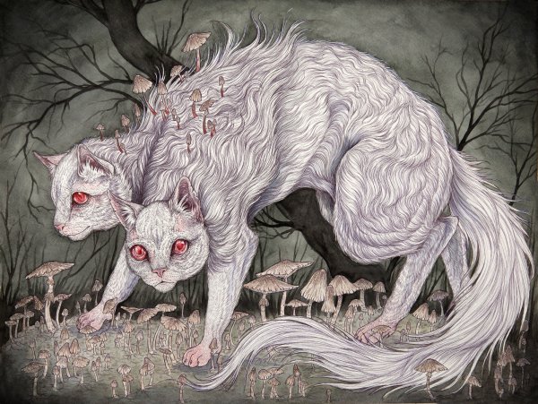 Caitlin Hackett летучая мышь