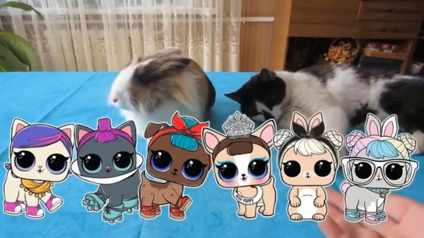Кот малыш ЛОЛ петс