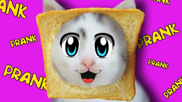 Кот малыш и кошка Мурка