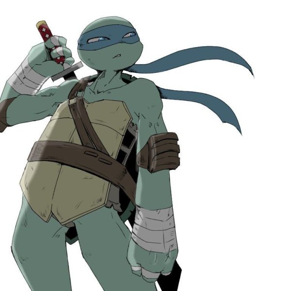 Леонардо TMNT 2012