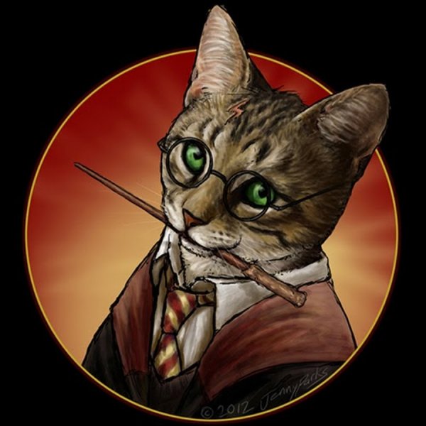 Кот Гарри Поттер
