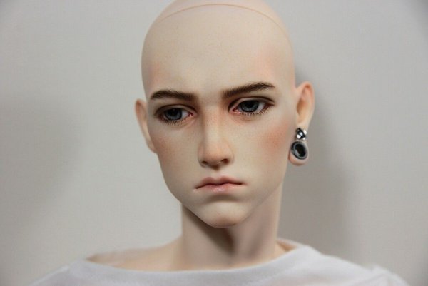 Dollshe venitu