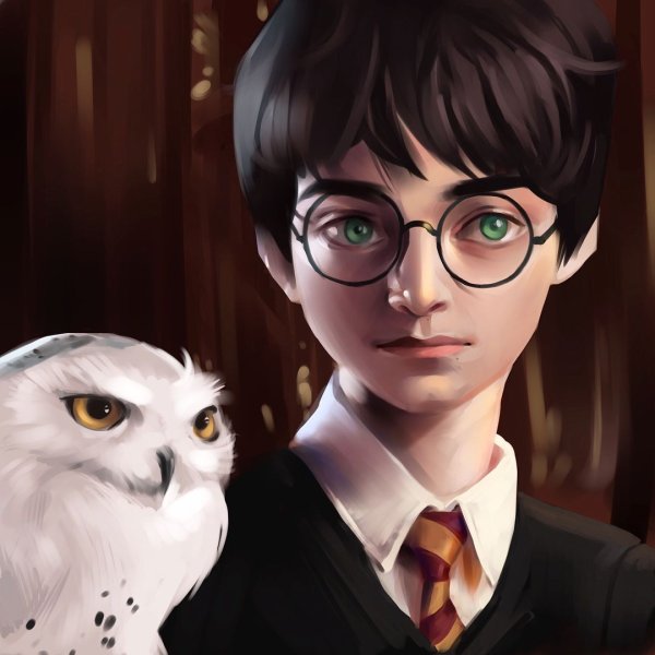 Harry Potter Art Harry