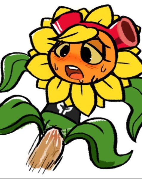 Solar Flare PVZ rule34 человек