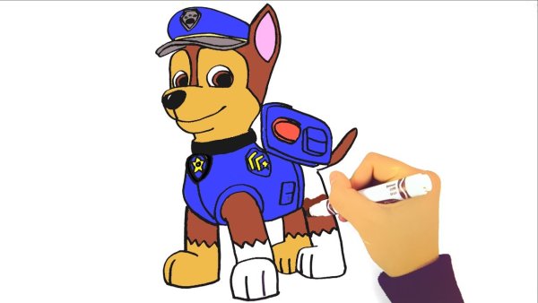 Щенячий патруль Чейз
