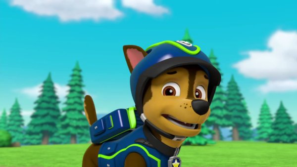 Paw Patrol агент гонщик