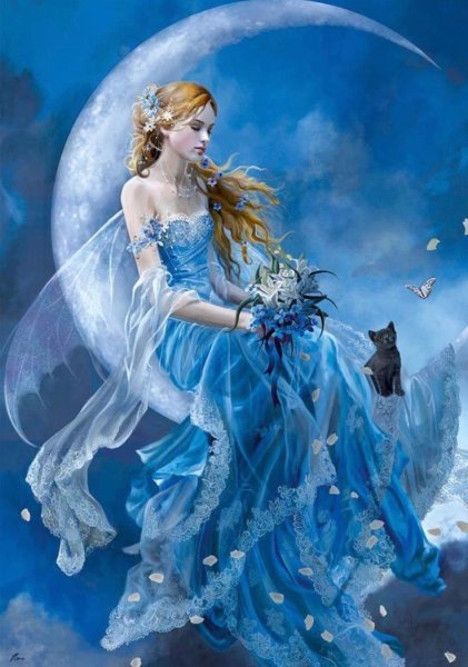 Wind Moon Fairy Дименшенс