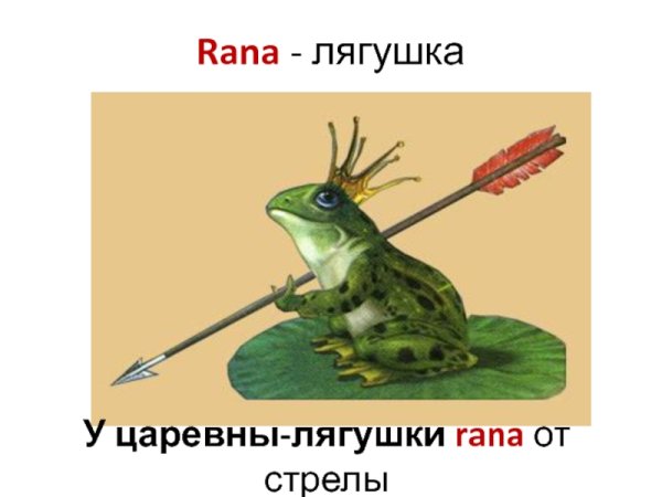 Иван Царевич стрела лягушка