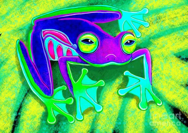 Silk to Frog by alan Wong