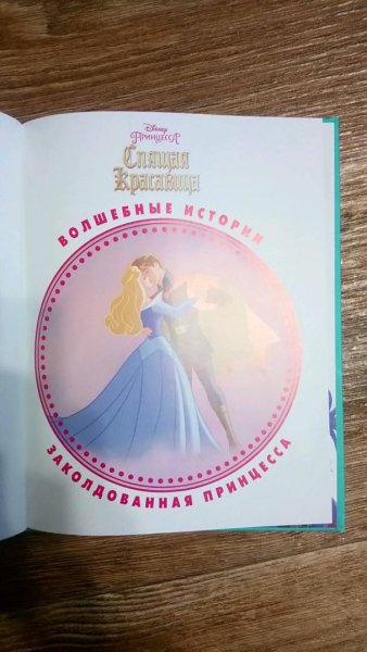 Заколдованная принцесса книга