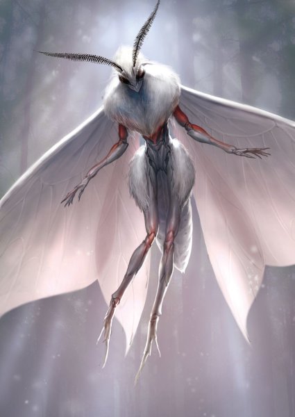 Mothman человек мотылек Art