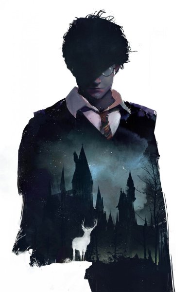 The Art of Harry Potter
