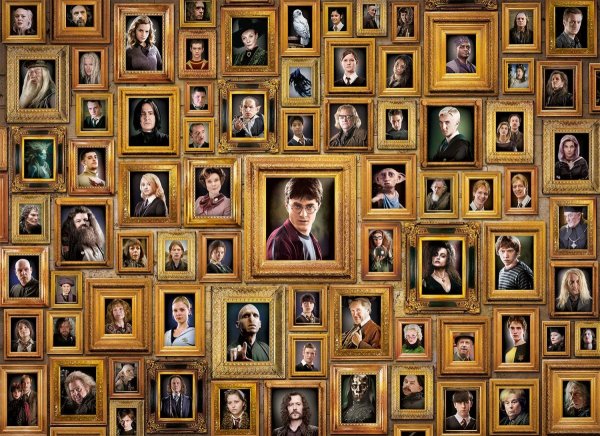 Пазл Гарри Поттер 1000