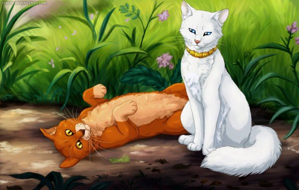 Коты Воители Томас