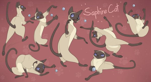 Коты сиамские референс
