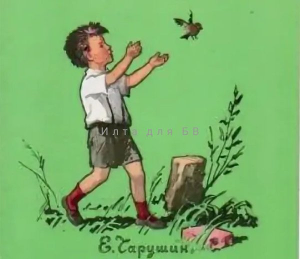 Е Чарушин Никитка и его друзья