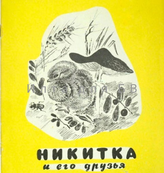 Евгений Чарушин Никитка и его друзья