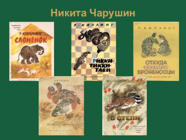 Никита Евгеньевич Чарушин художник анималист