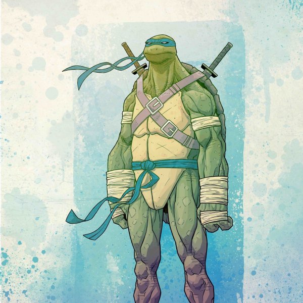 Leonardo TMNT