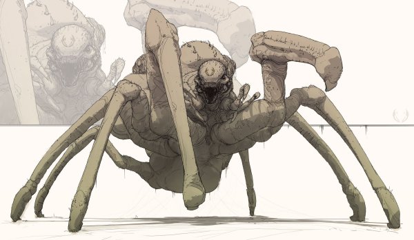 Драук (Drider)