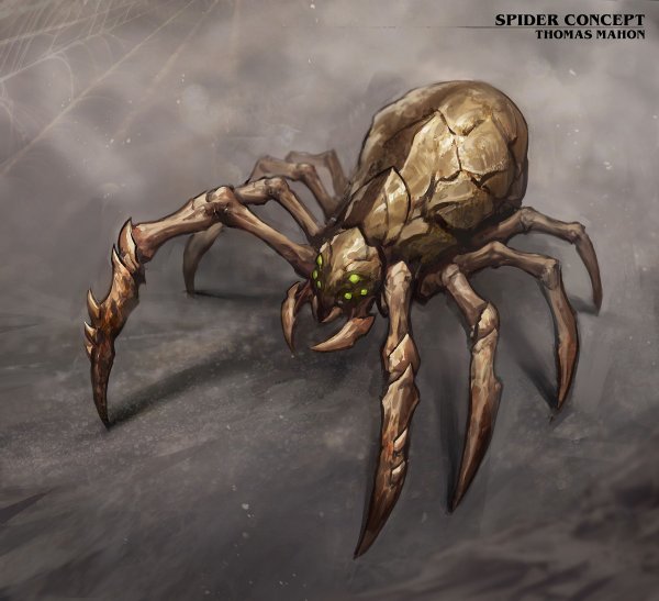 Kikimora palustris паук