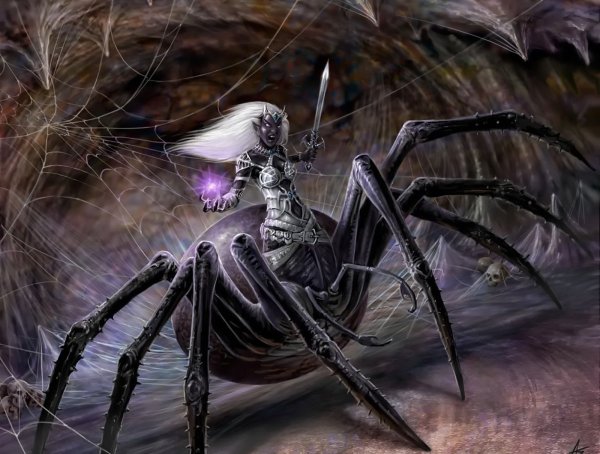 Драук (Drider)