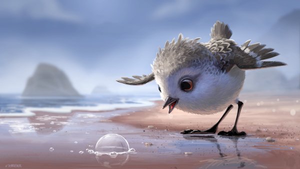 Piper (песочник, 2016) Pixar
