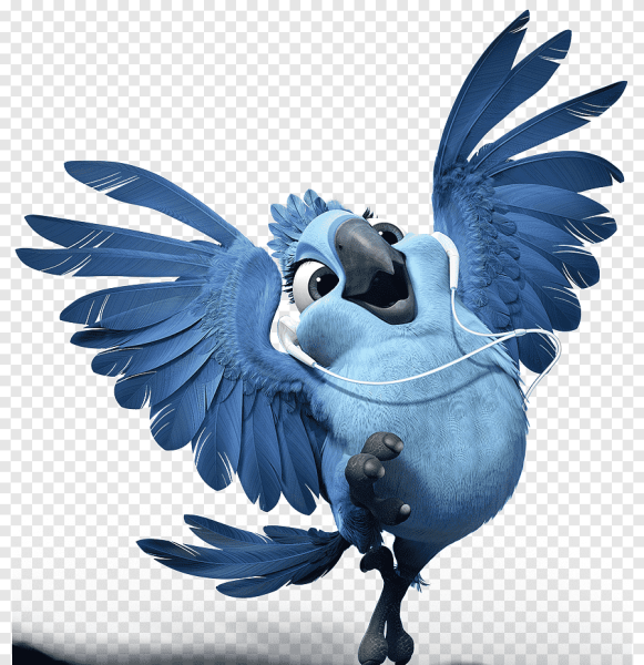 Рио 2