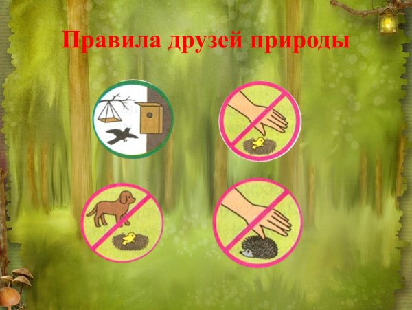 Правила друзей природы 3 класс