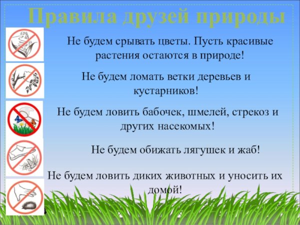 Поавило друзей природа